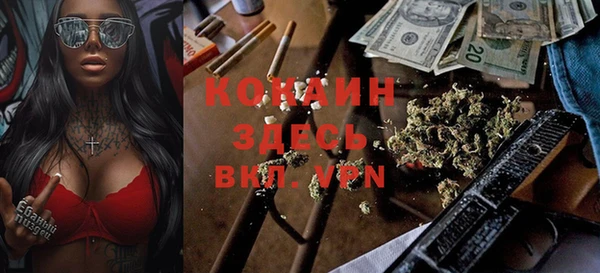 молекула духа Алзамай